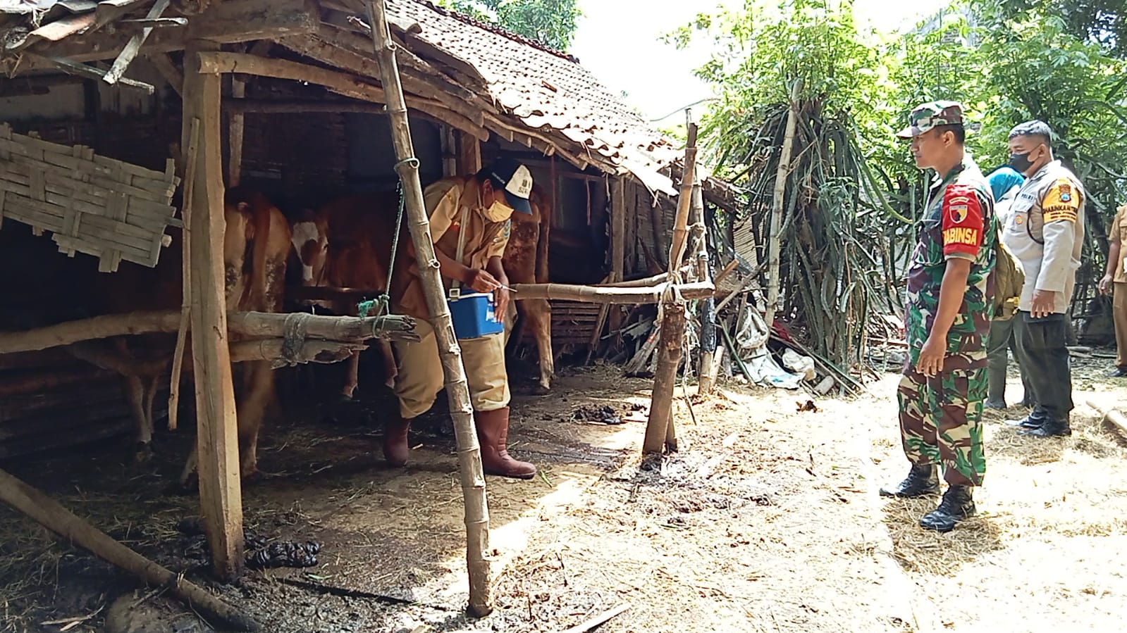 Bhabinkamtibmas Desa Jatikalen Dampingi Vaksinasi PMK