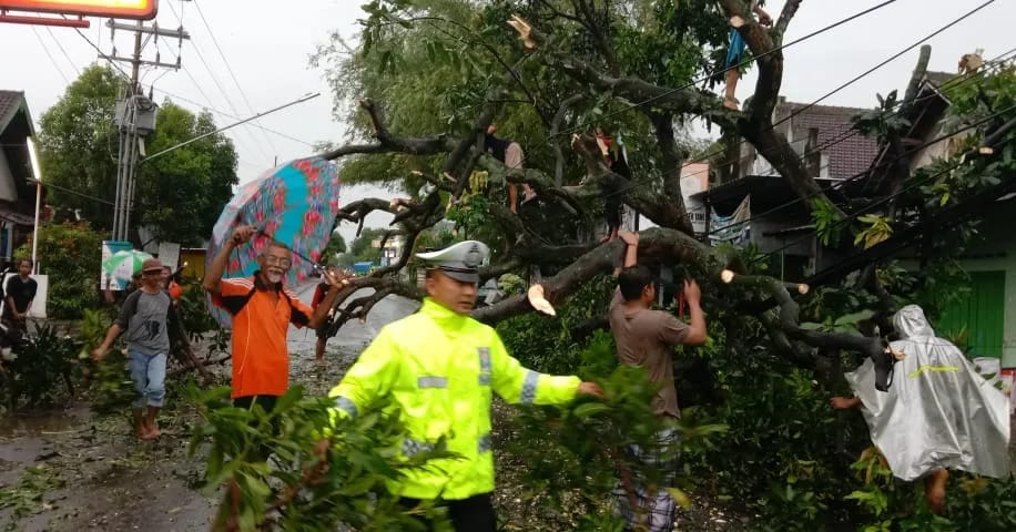 Pohon Tumbang Tutup Jalan, Polisi Warujayeng Lakukan Alih Arus