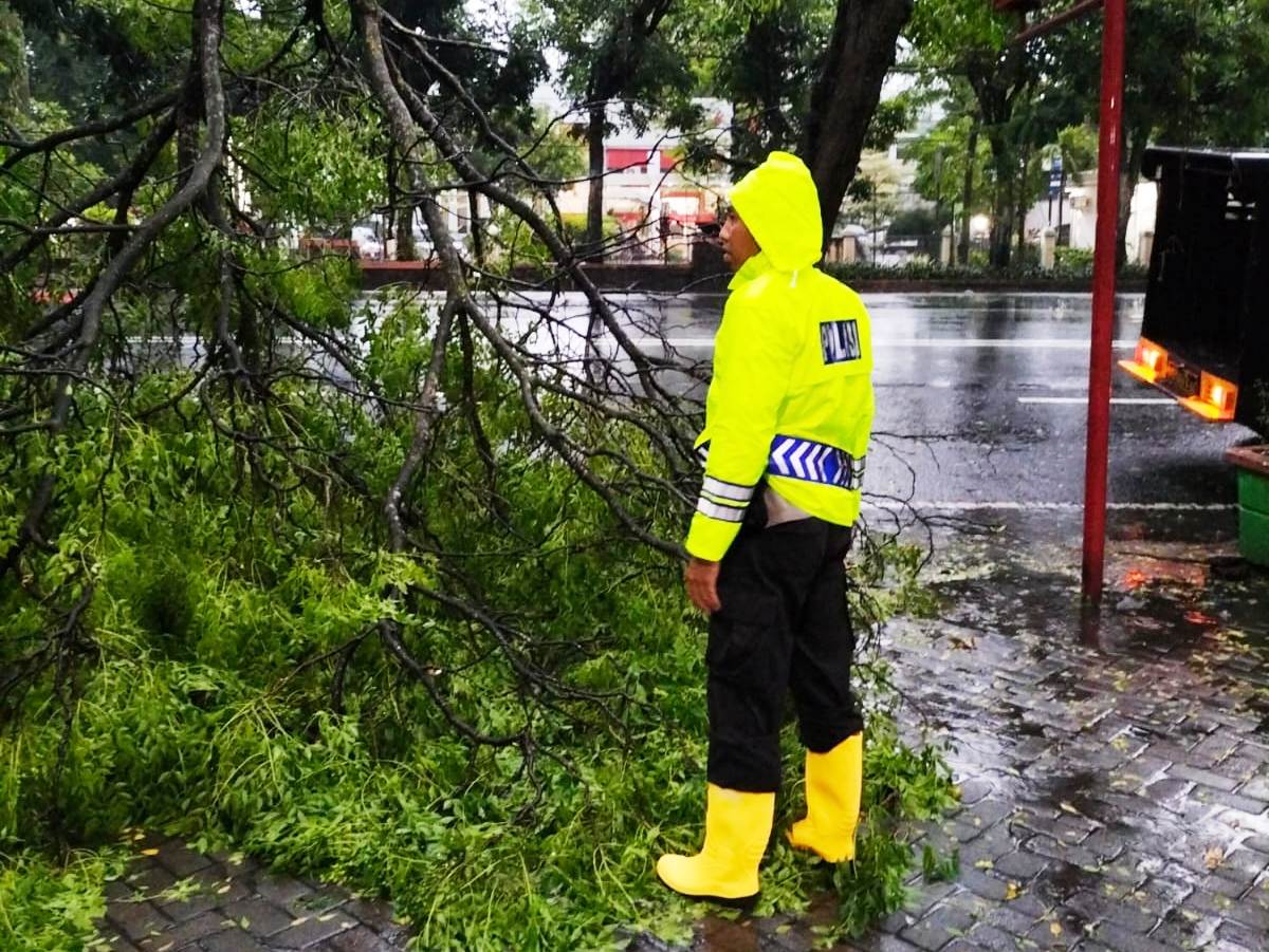 Respon Cepat Anggota Polsek Nganjuk Kota Saat Evakuasi Pohon Tumbang