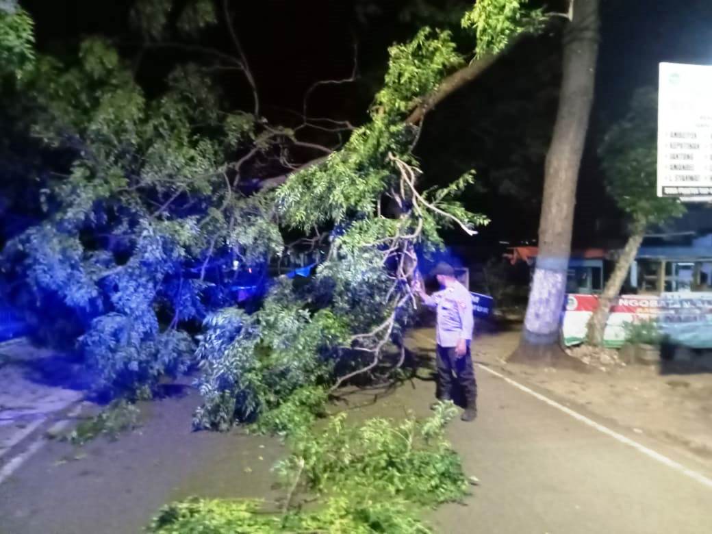 Respon Cepat Laporan Masyarakat, Polsek Nganjuk Kota Datangi TKP Pohon Tumbang