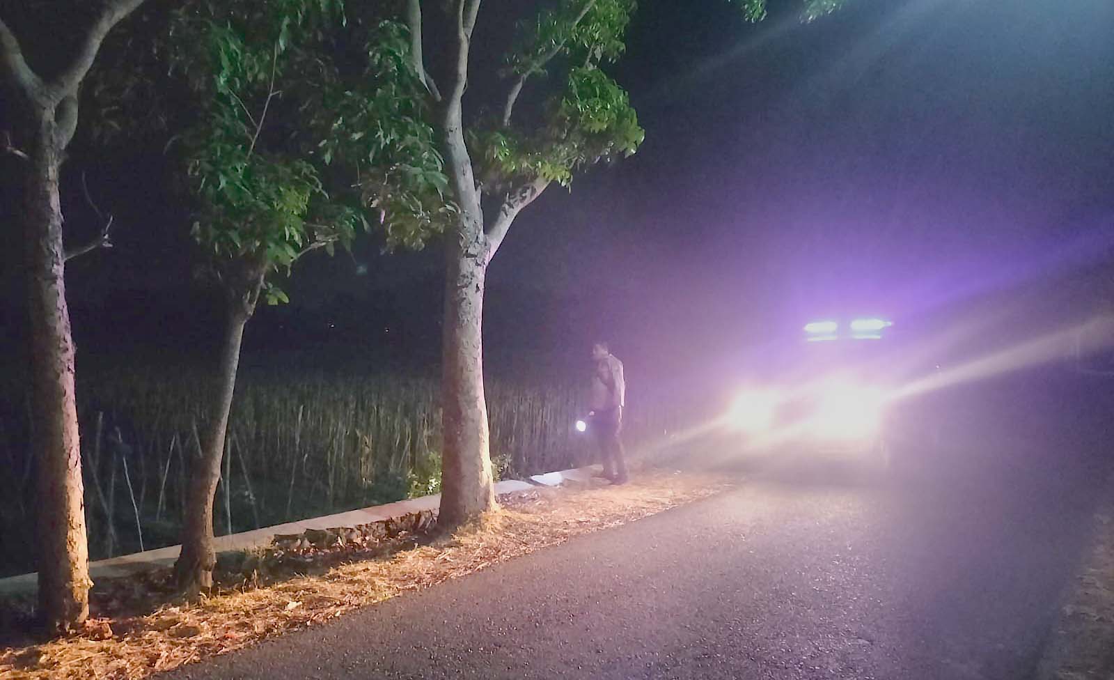 Cegah Pencurian Hasil Panen , Polsek Kertosono Laksanakan Patroli di Areal Sawah