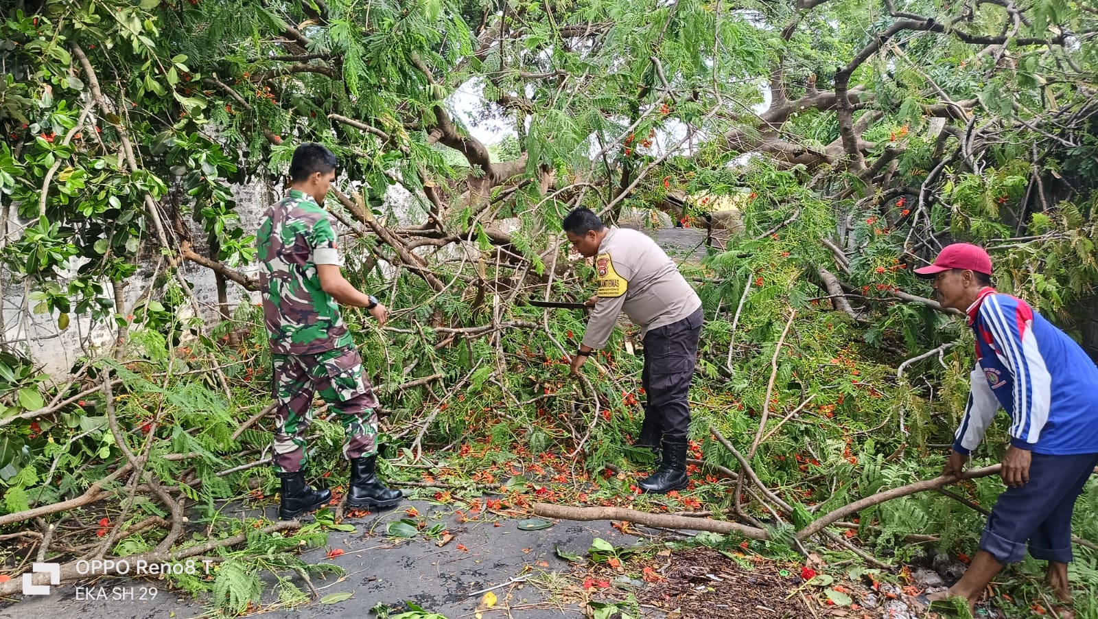 Bhabinkamtibmas Warujayeng Bersama Warga Evakuasi Pohon Tumbang di Stadion
