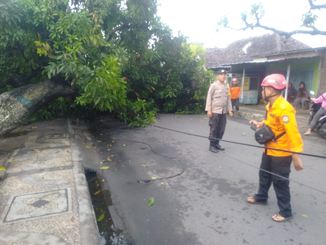 Quick Respon Polsek Nganjuk Kota Evakuasi Pohon Tumbang Yang Menutupi Jalan