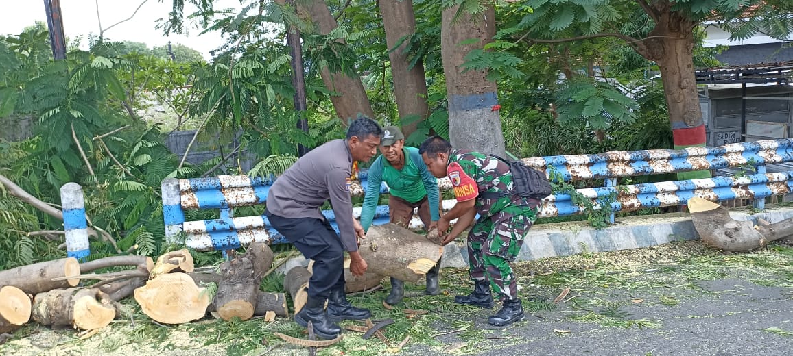 Sinergitas TNI-Polri Bantu Singkirkan Ranting Penebangan Pohon