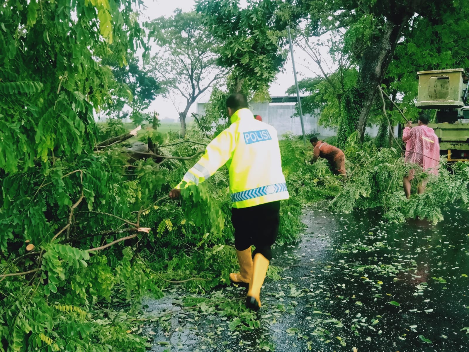 Quick Response Anggota Polsek Nganjuk Kota Datangi TKP dan Evakuasi Pohon Tumbang Akibat Hujan Deras Disertai Angin Kencang