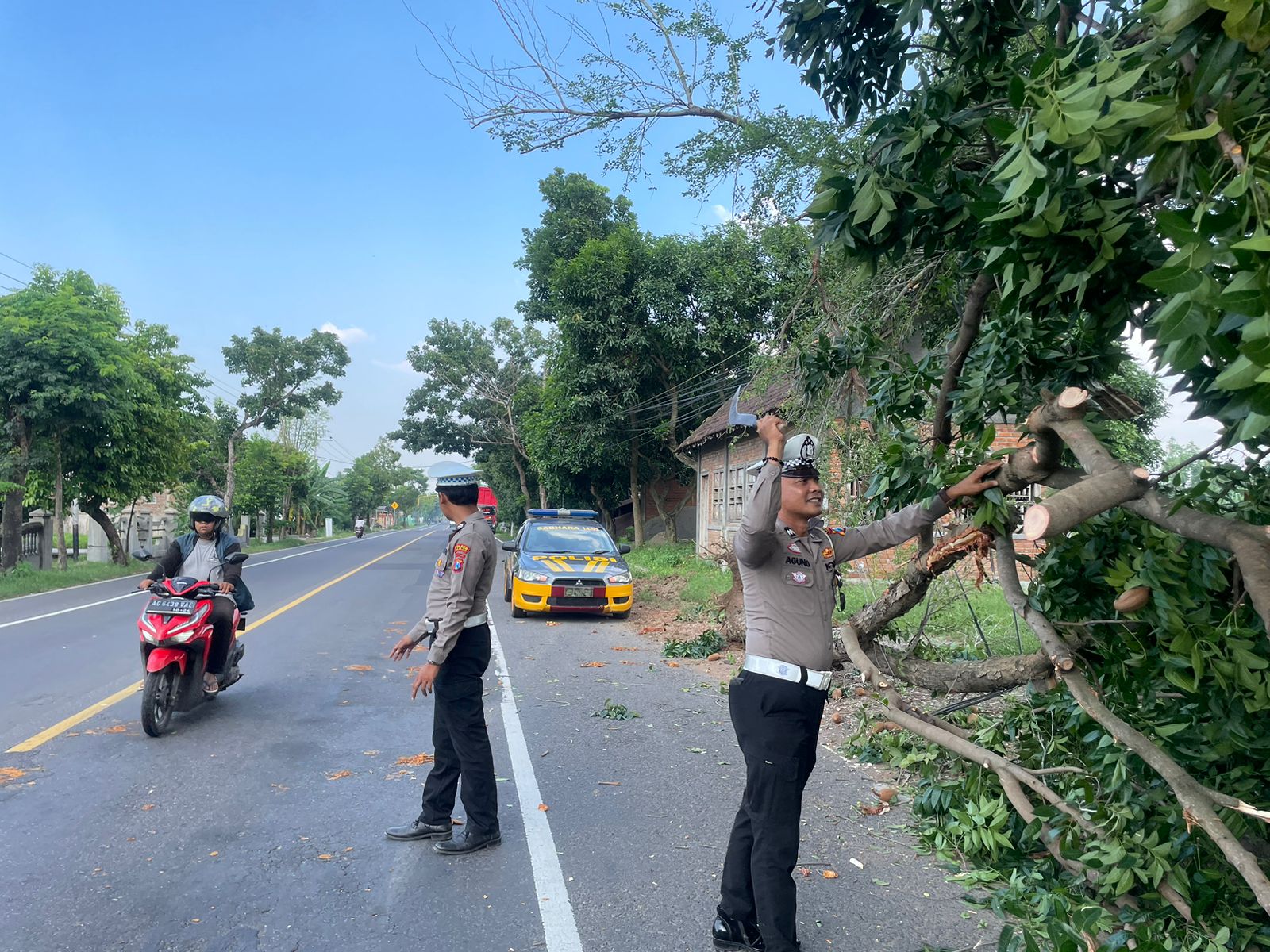 Personel Polsek Warujayeng Bersama Warga Evakuasi Pohon Tumbang di Jalan Raya