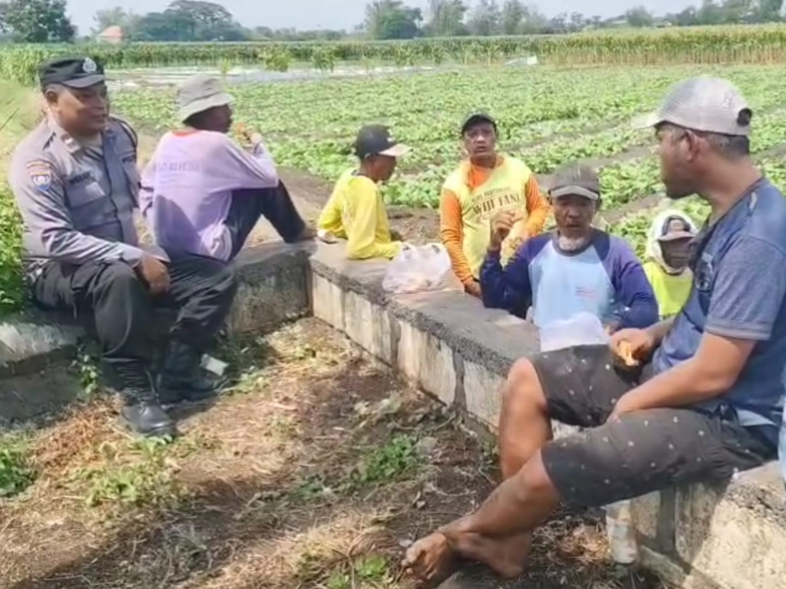 Masuki Tahapan Pilkada, Bhabinkamtibmas Wates Ajak Petani Jaga Kerukunan