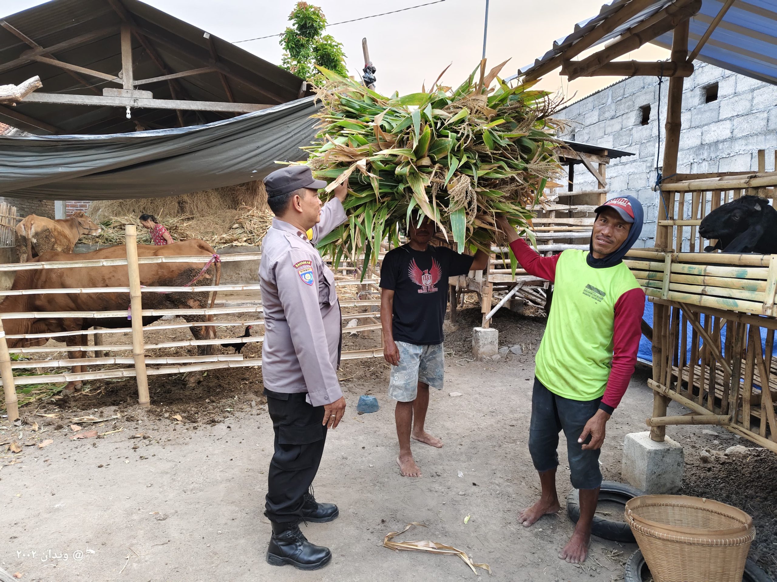 Sambang Desa, Bhabinkamtibmas Wates Himbau Warga Waspadai Pencurian Hewan Ternak