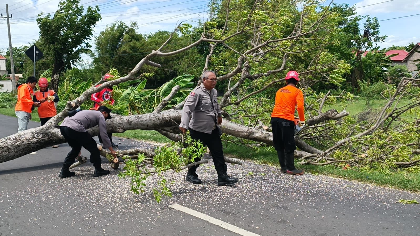 Respon Cepat Polsek Warujayeng Bantu Evakuasi Pohon Tumbang di Jalan Raya Wates