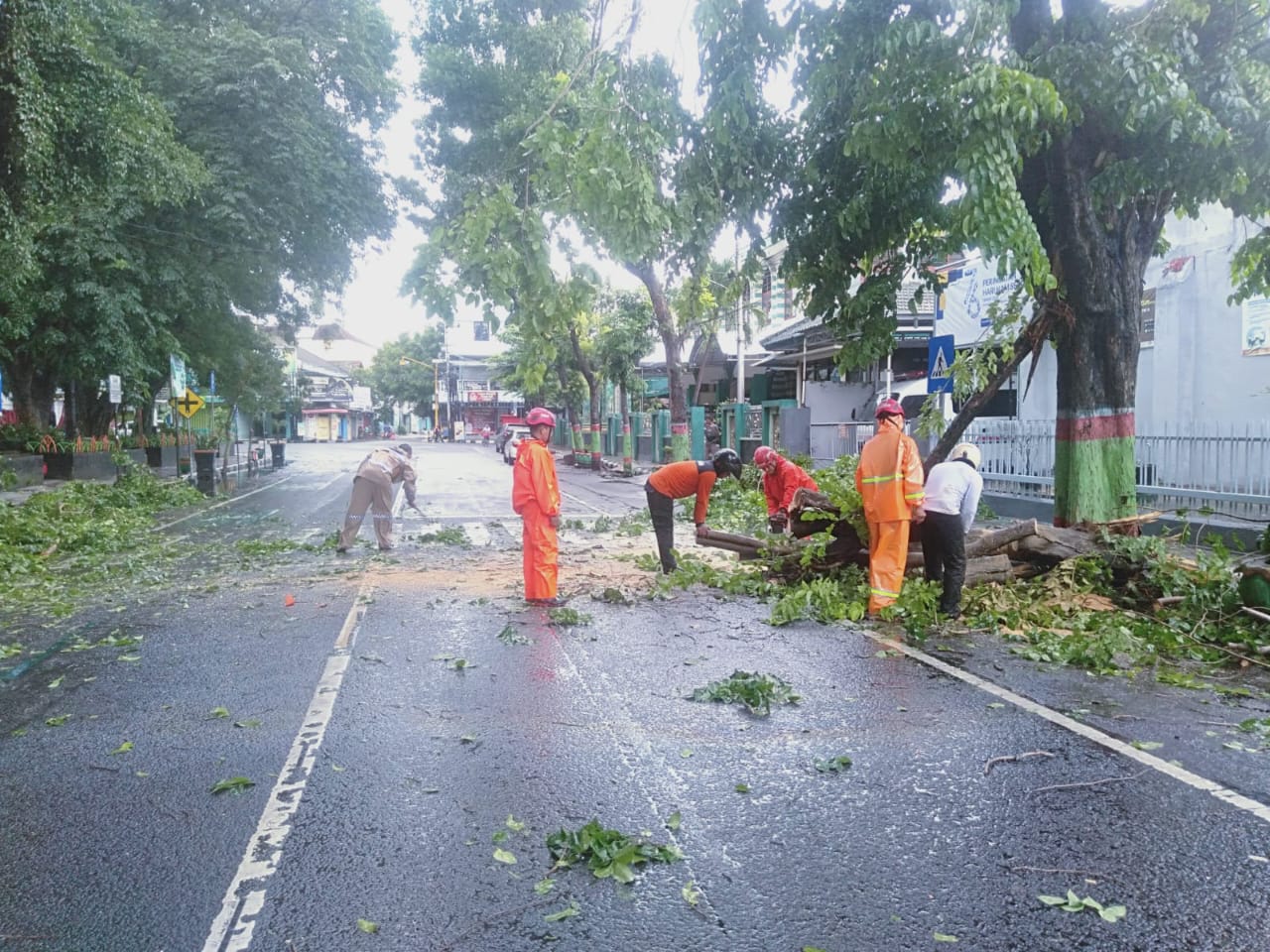 Quick Response Personil Polsek Nganjuk Kota dan BPBD LH Evakuasi Pohon Tumbang di Jl. Supriadi Nganjuk