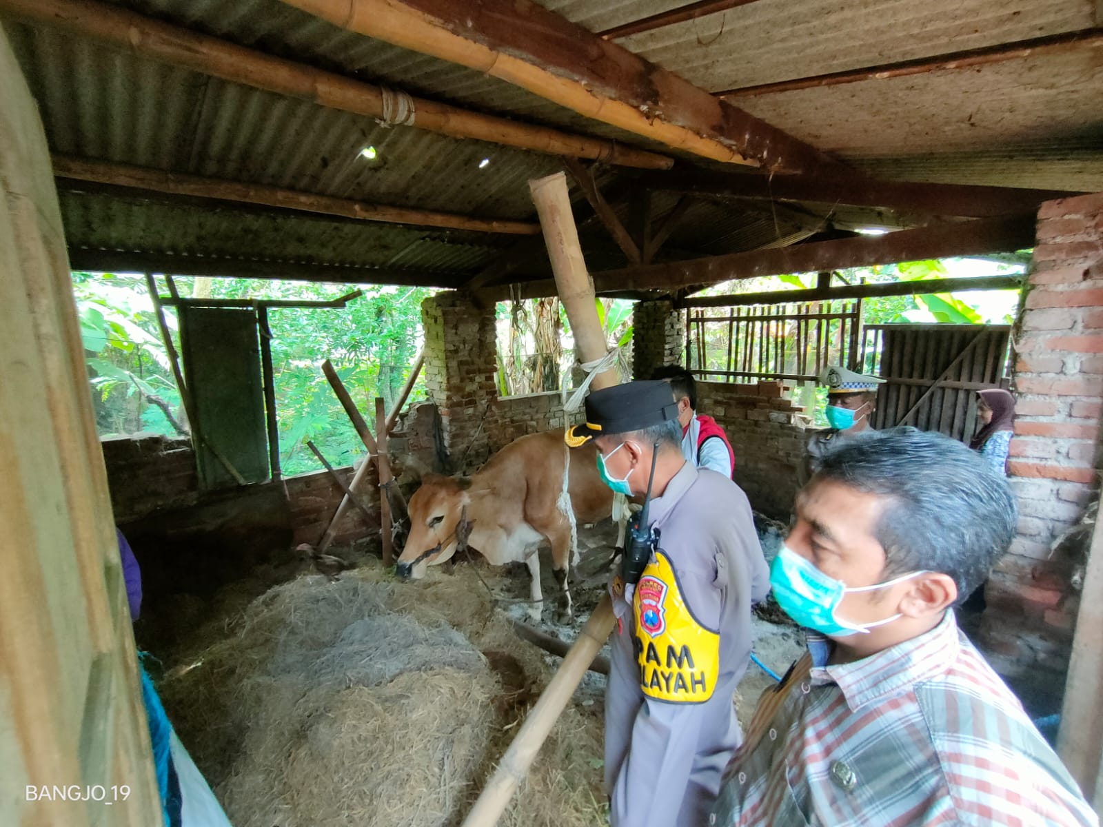 Cegah PMK, Kapolsek Warujayeng Dampingi Tim Surveilence di Desa Sambirejo