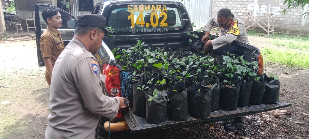 Polsek Pace Dukung Ketahanan Pangan, Manfaatkan Lahan Sela untuk Tanaman Bergizi