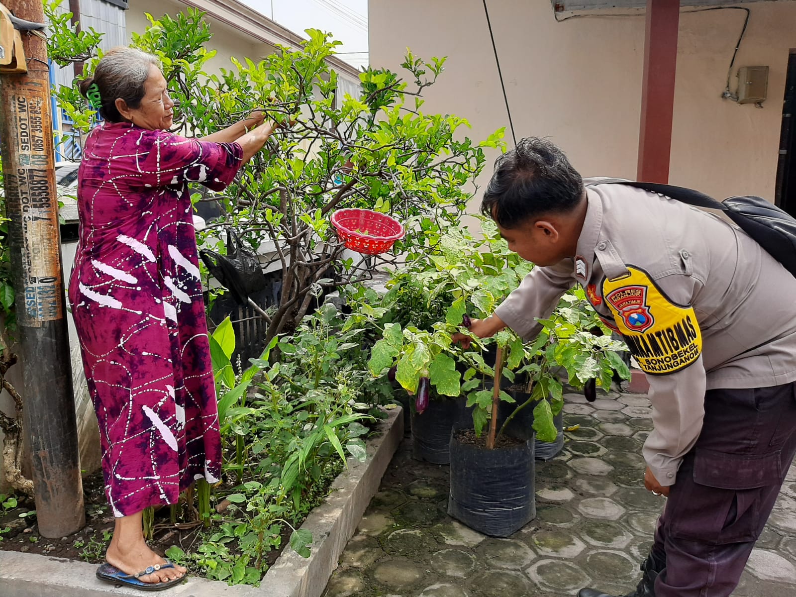 Bhabinkamtibmas Polsek Warujayeng Pantau Pemanfaatan Lahan Sela Oleh Warga Desa Sonobekel