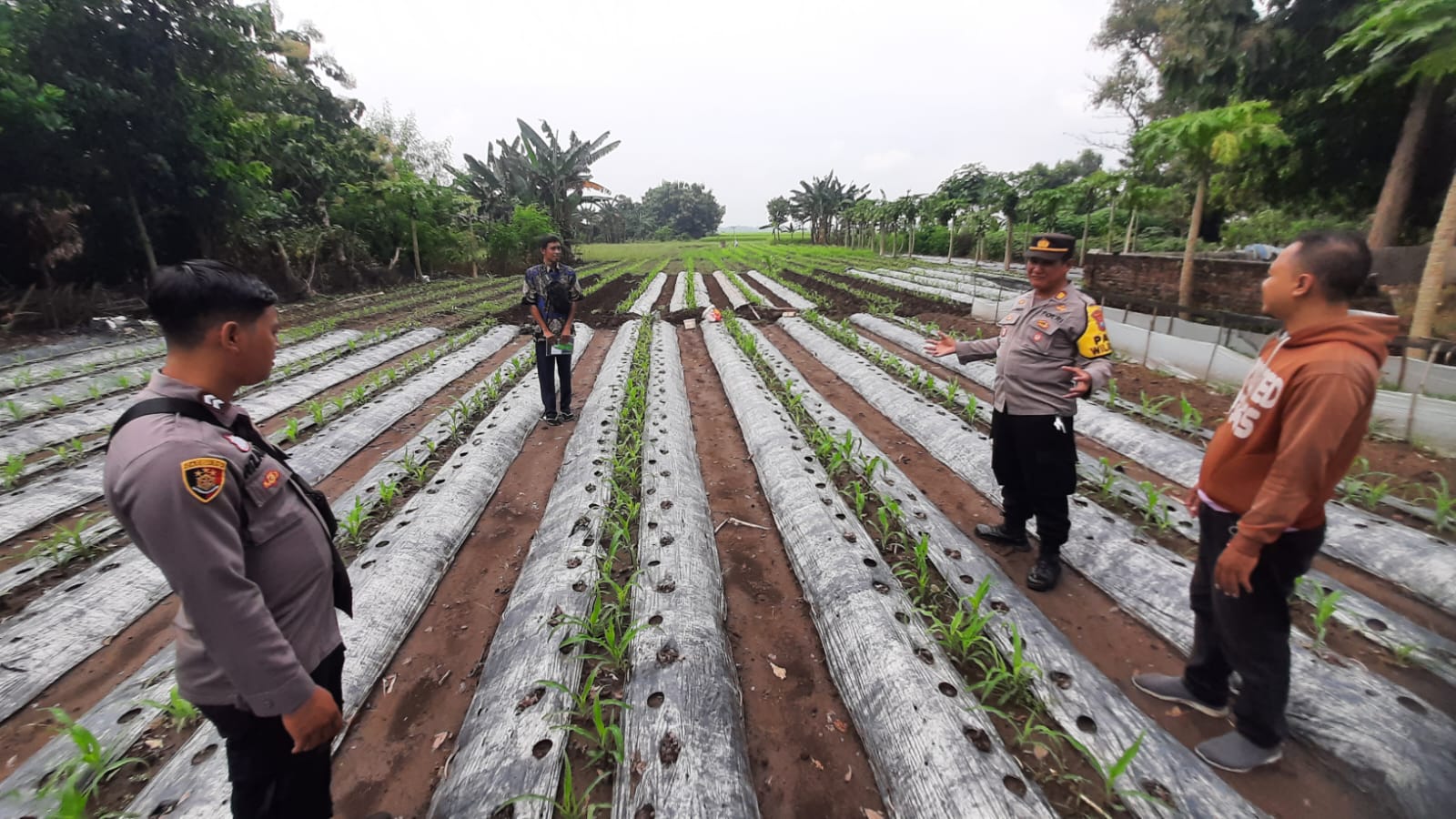 Polsek Patianrowo Pantau Pemanfaatan Lahan Pekarangan untuk Dukung Ketahanan Pangan