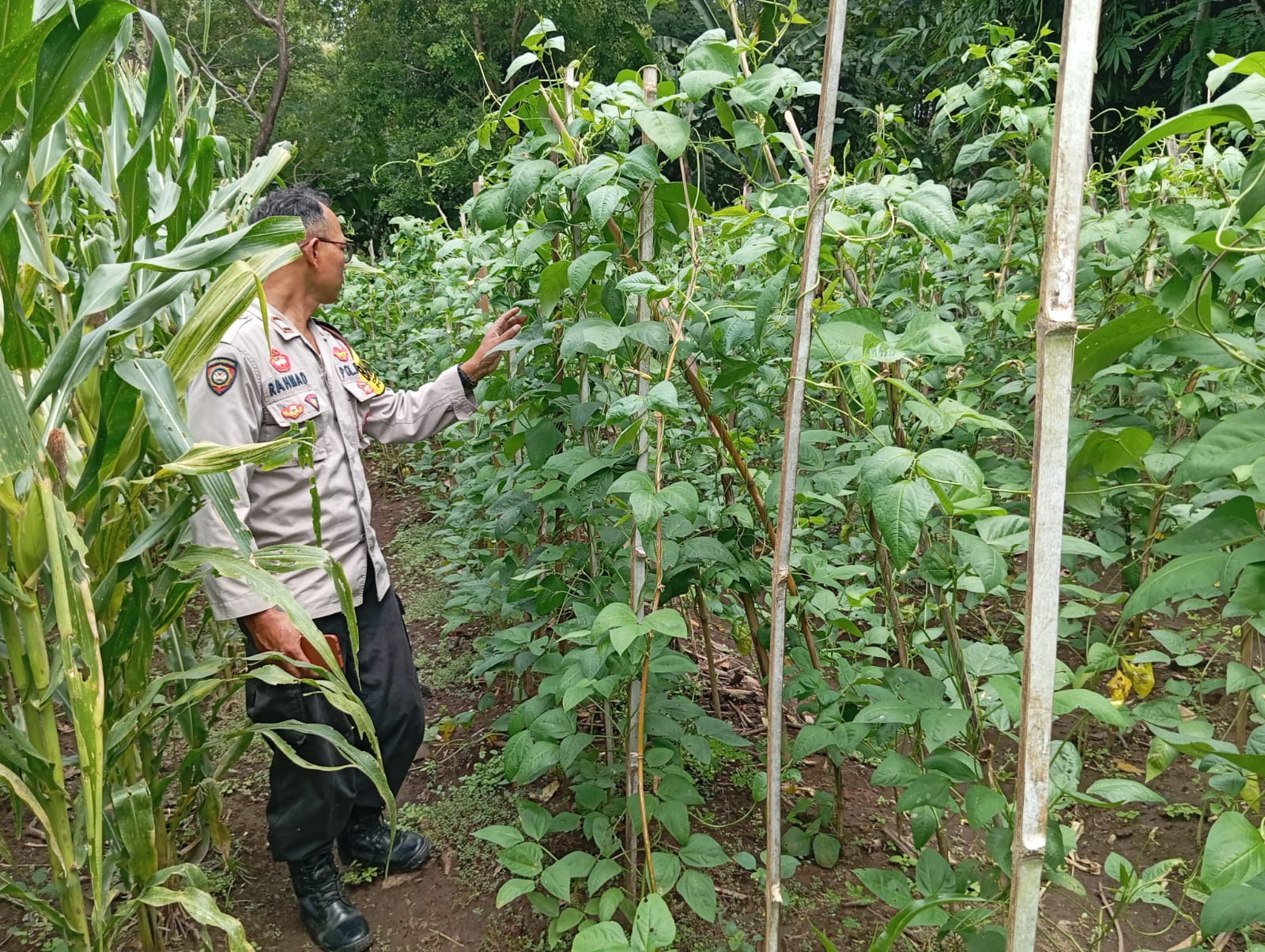 Dukung Ketahanan Pangan, Polres Nganjuk Pantau Pemanfaatan Lahan Perkarangan di Desa Gondang