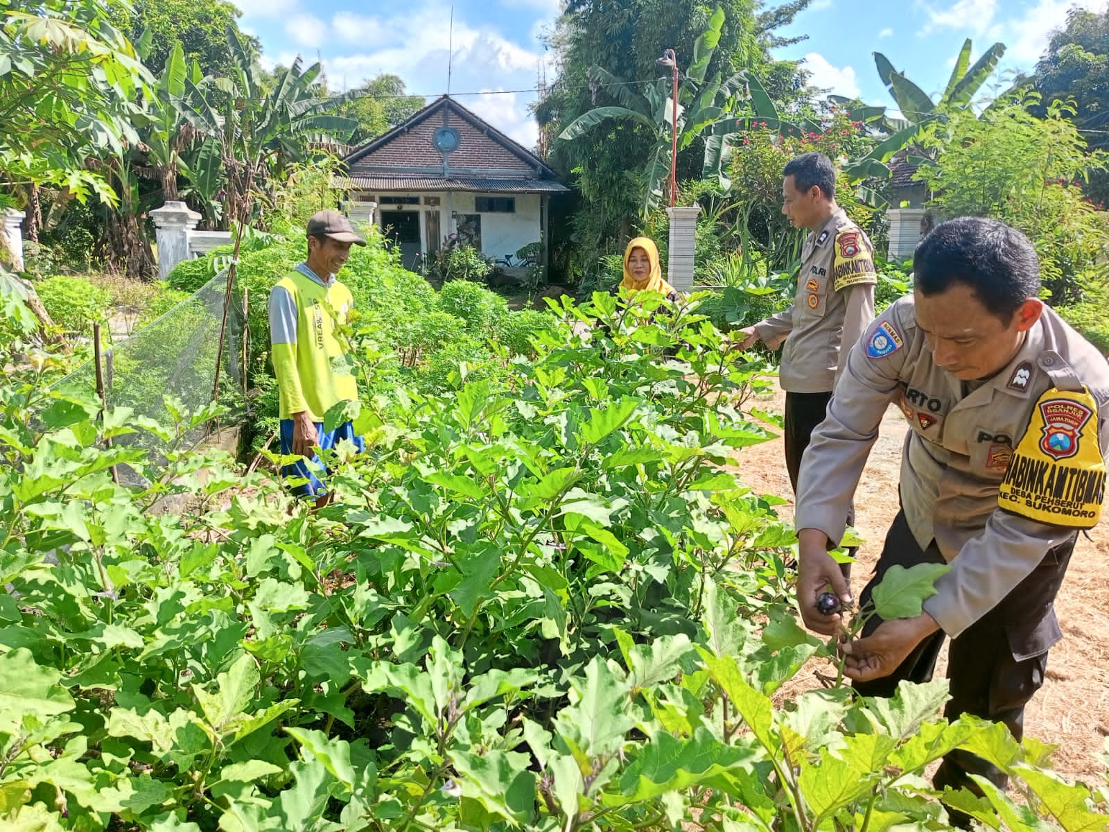 Dukung Ketahanan Pangan, Polres Nganjuk Dampingi Pemanfaatan Lahan Pekarangan Lestari