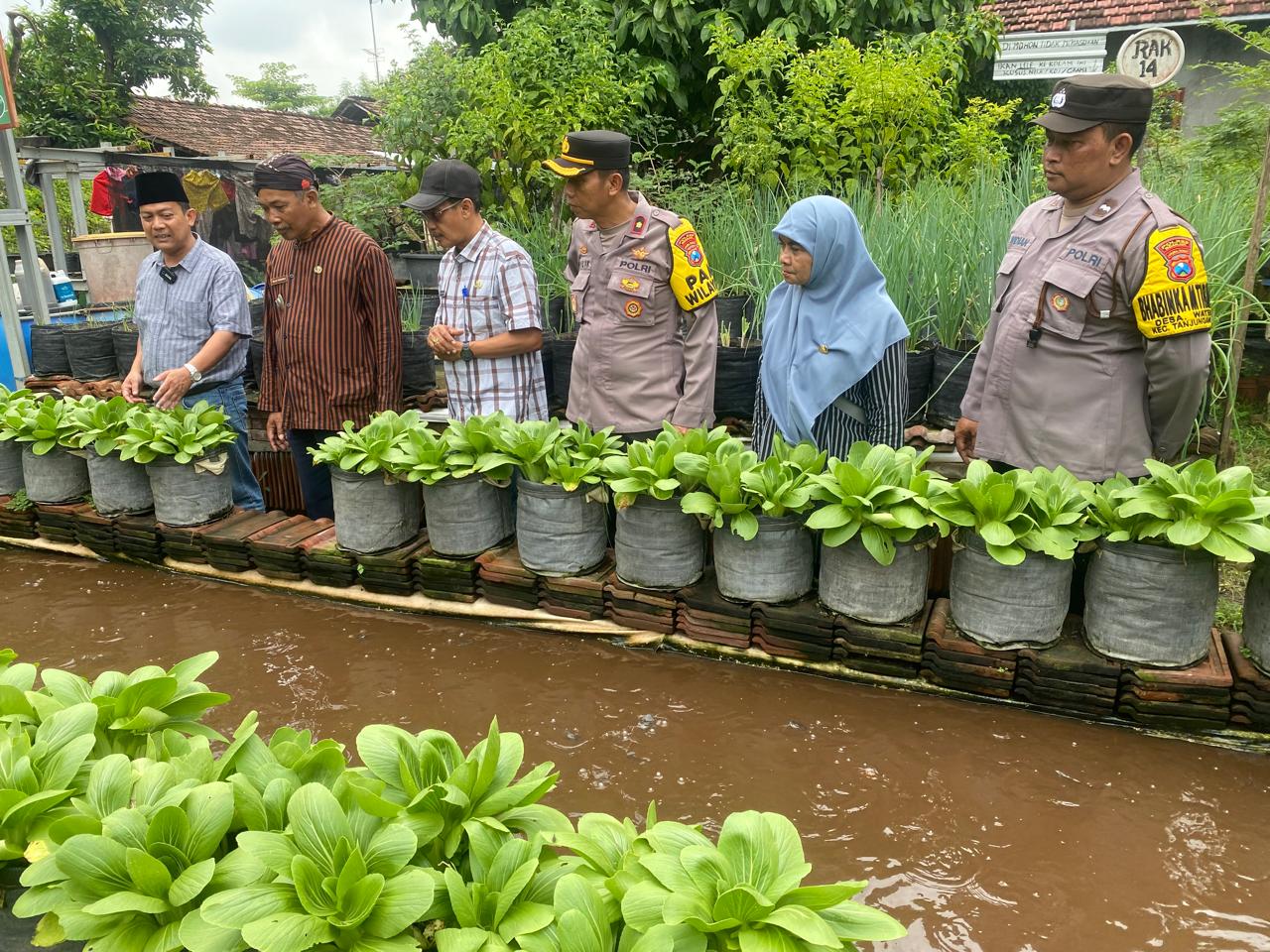 Kapolsek Warujayeng Tinjau Pemanfaatan Lahan Pekarangan Lestari di Pomosda