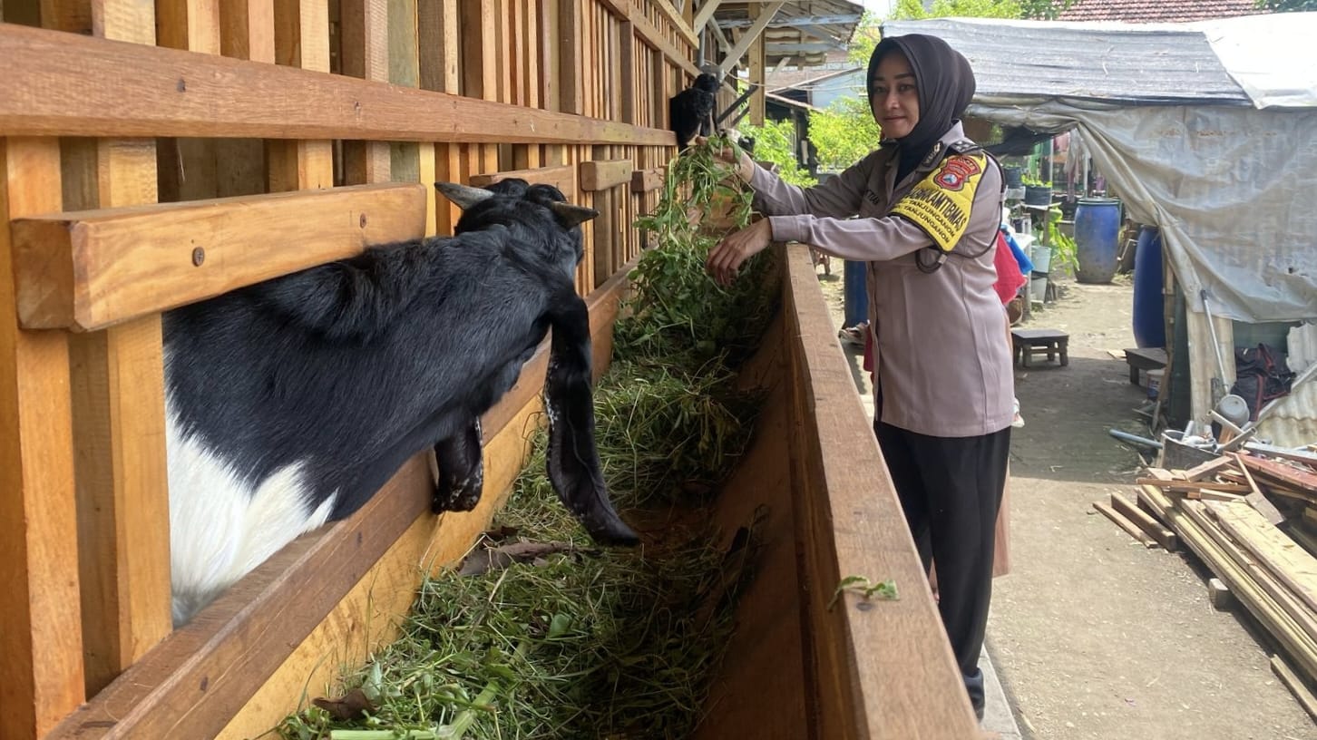 Dukung Ketahanan Pangan, Bhabinkamtibmas Tanjunganom Kunjungi Peternak Kambing di Daerah Binaannya