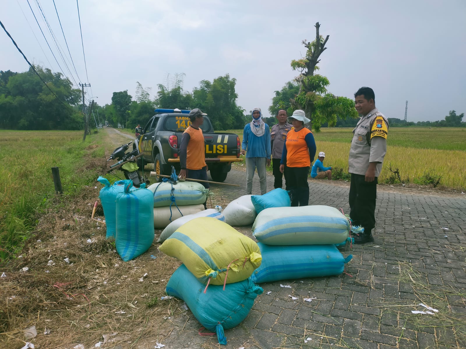 Dukung Program Ketahanan Pangan Nasional, Bhabinkamtibmas Polsek Jatikalen Monitoring Panen Padi di Desa Perning