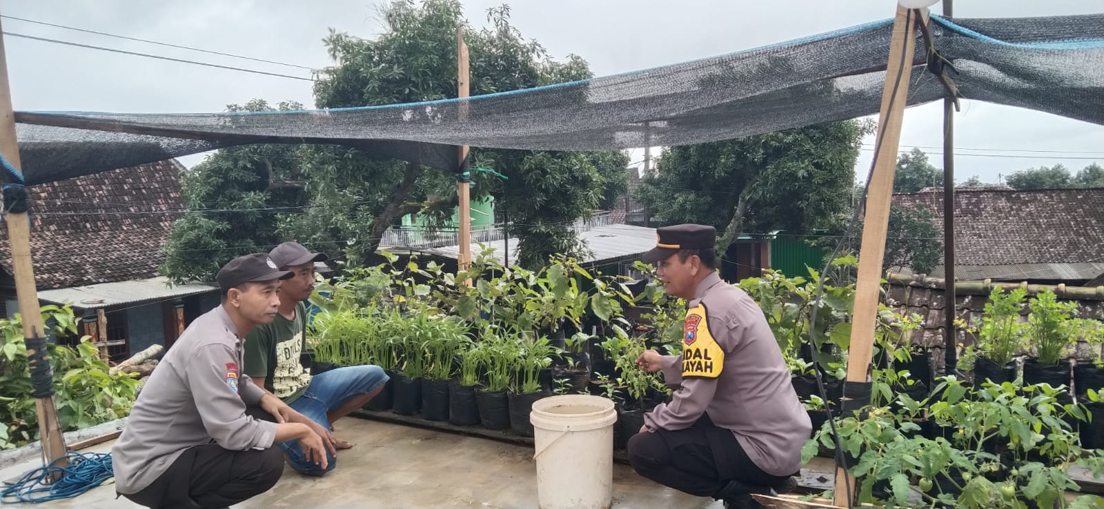 Polsek Sawahan Kembangkan Lahan Pekarangan Percontohan di Desa Duren