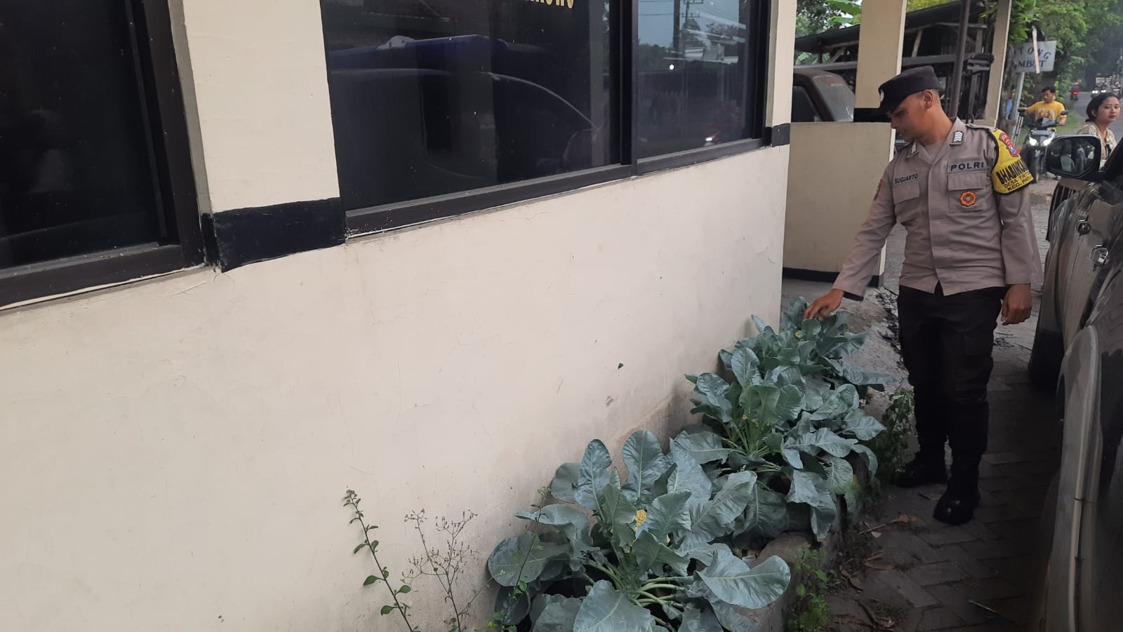 Polsek Patianrowo Pantau Perkembangan Tanaman Sayur Dukung Ketahanan Pangan