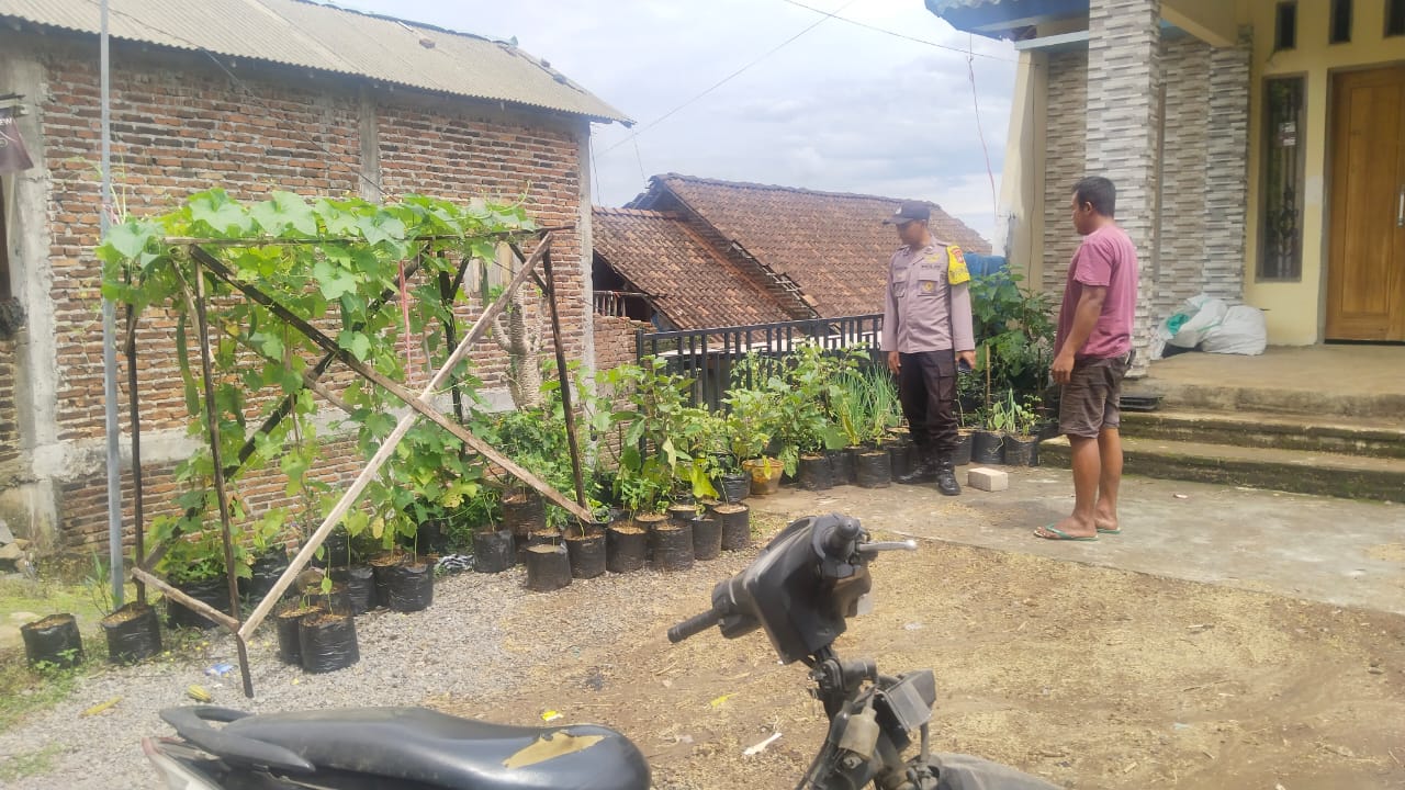 Bhabinkamtibmas Sawahan Dukung Ketahanan Pangan Lewat Pemantauan Tanaman Cabai