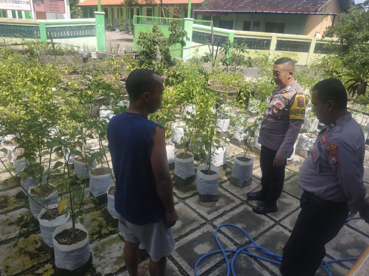 Polsek Ngetos Dukung Ketahanan Pangan, Pantau Pekarangan Sayur Warga