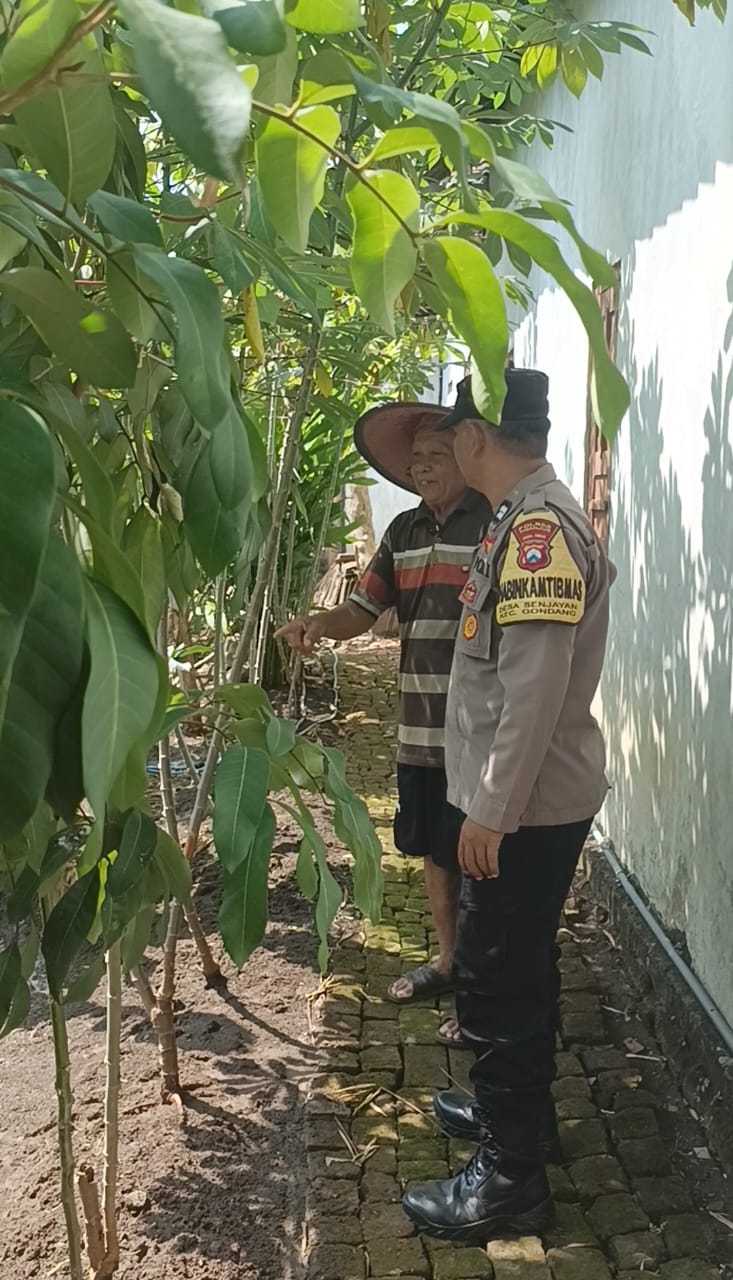 Bhabinkamtibmas Gondang Pantau Lahan Pekarangan Bergizi di Senjayan