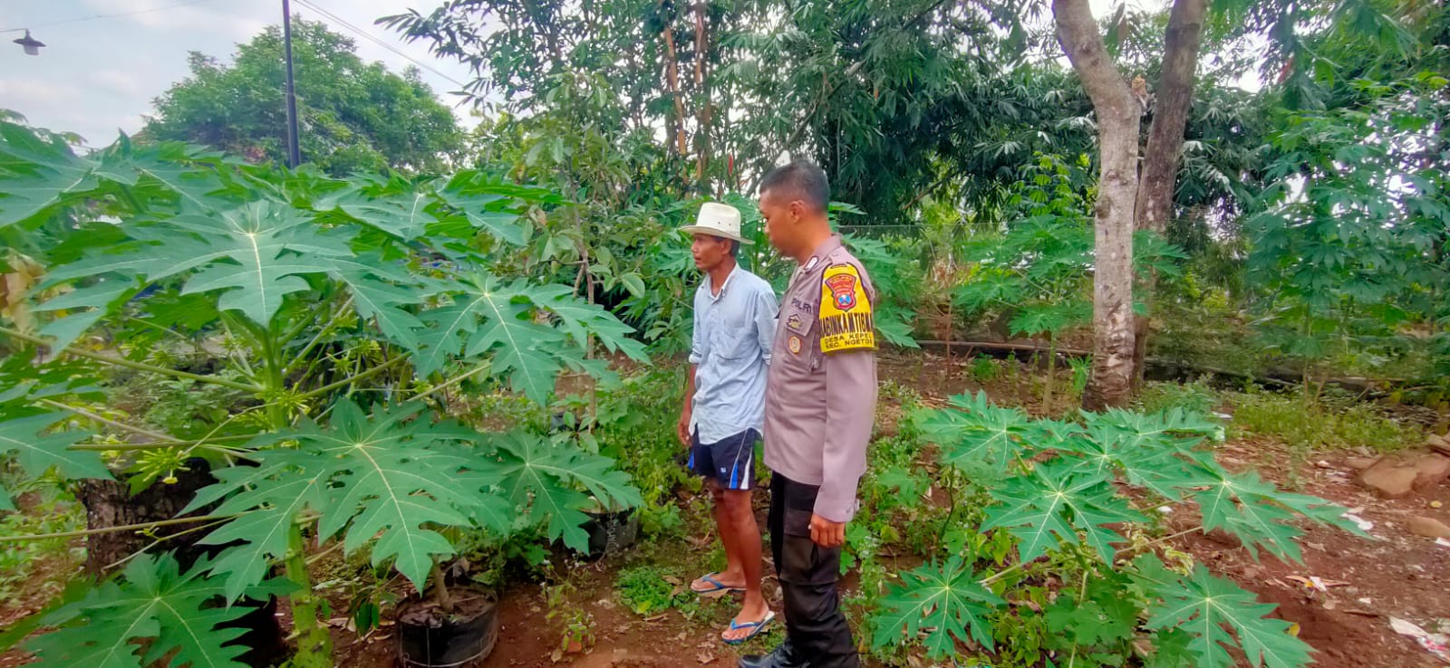 Bhabinkamtibmas Polsek Ngetos Dukung Ketahanan Pangan Lewat Pemanfaatan Lahan Pekarangan