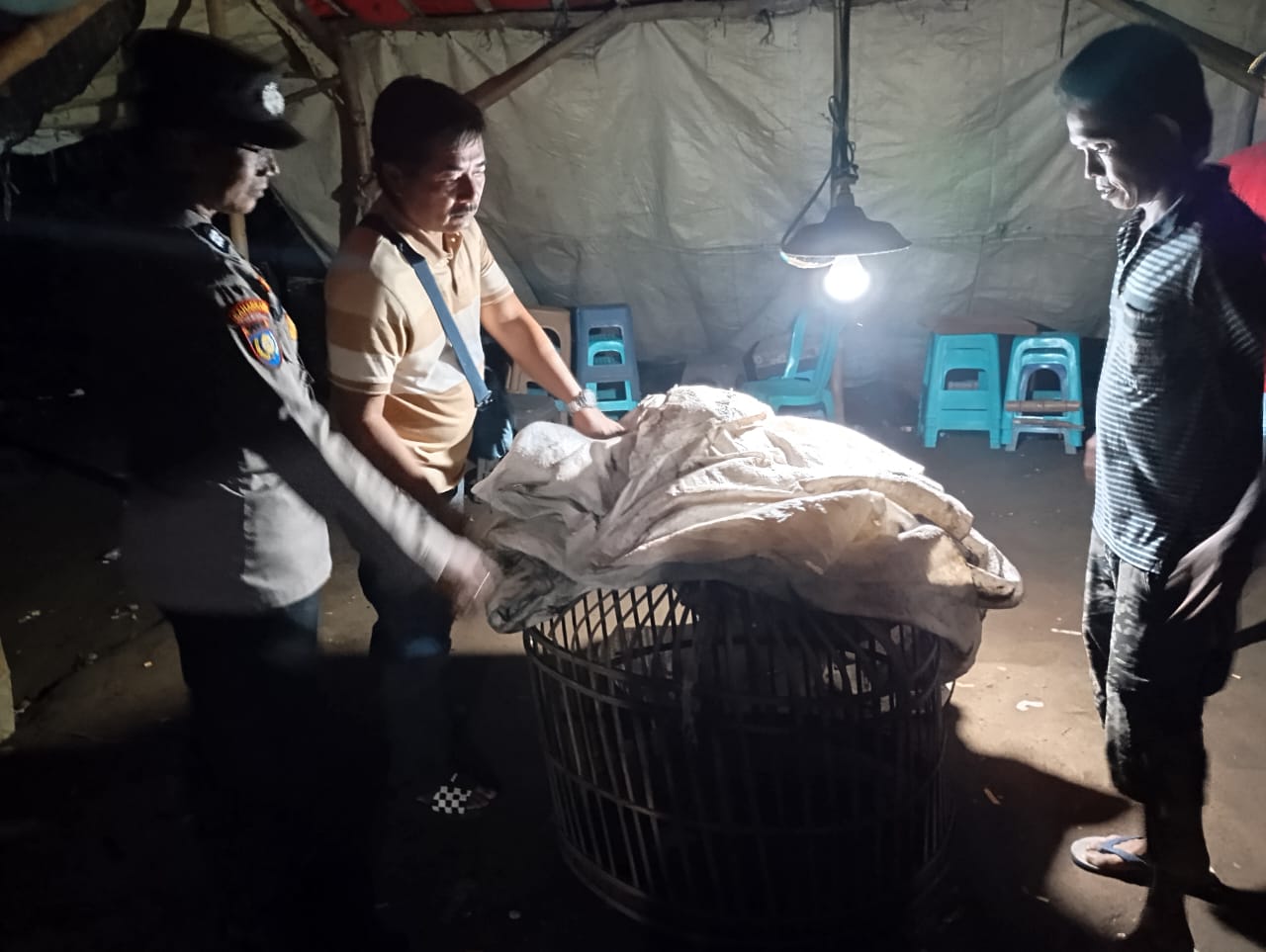 Polsek Ngronggot Bongkar Lokasi Diduga Arena Sabung Ayam di Klurahan, Laporan Masuk Lewat WLK