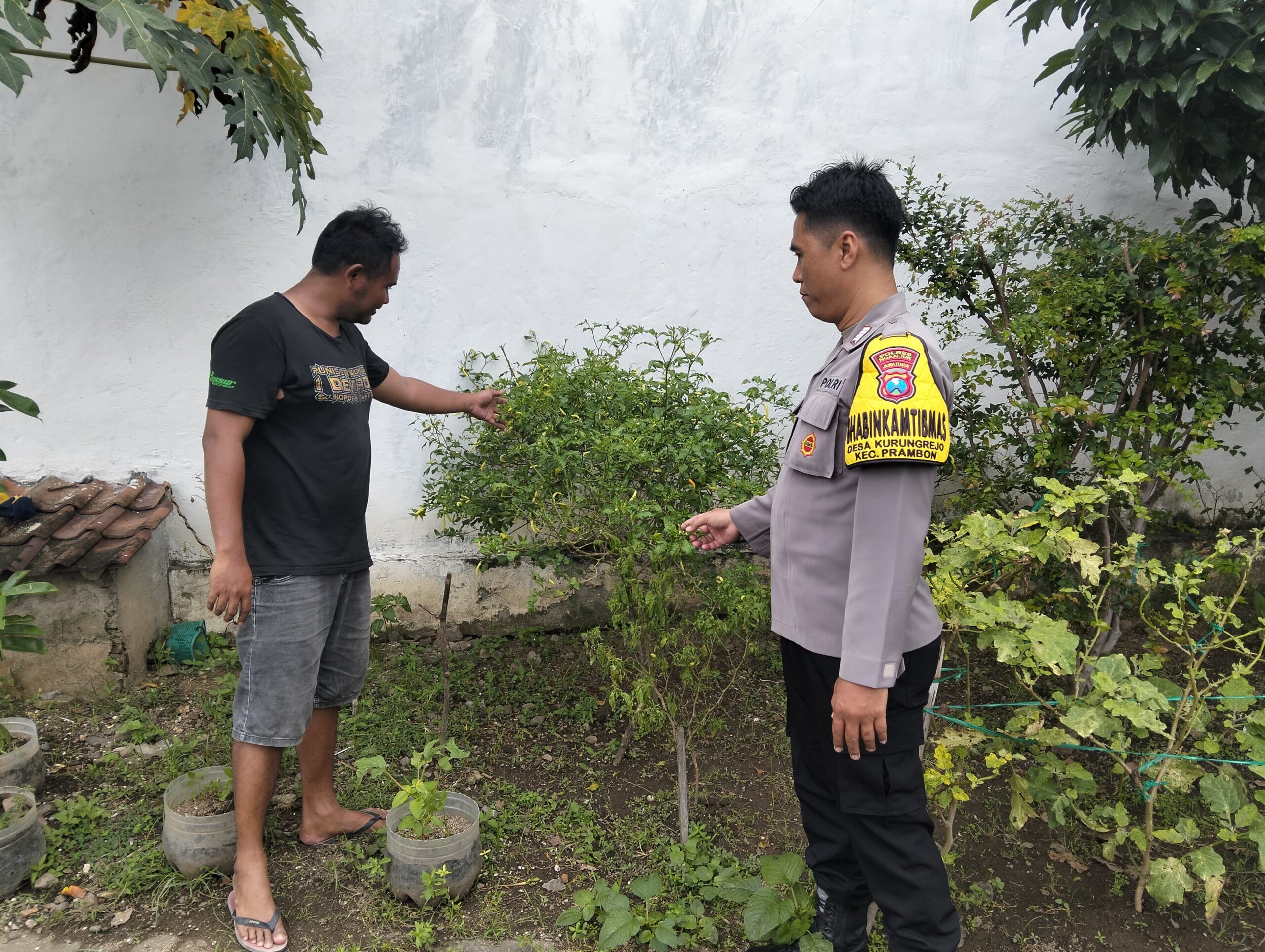 Optimalkan Pekarangan, Polsek Prambon Dukung Ketahanan Pangan Warga