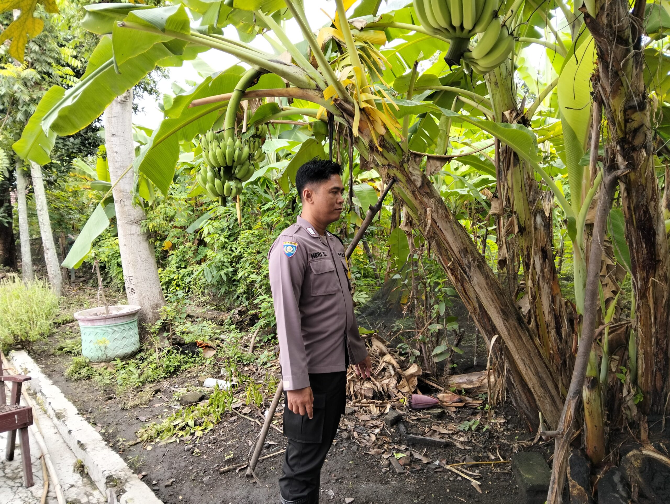 Optimalisasi Lahan Perkarangan, Polsek Prambon Dukung Ketahanan Pangan Warga