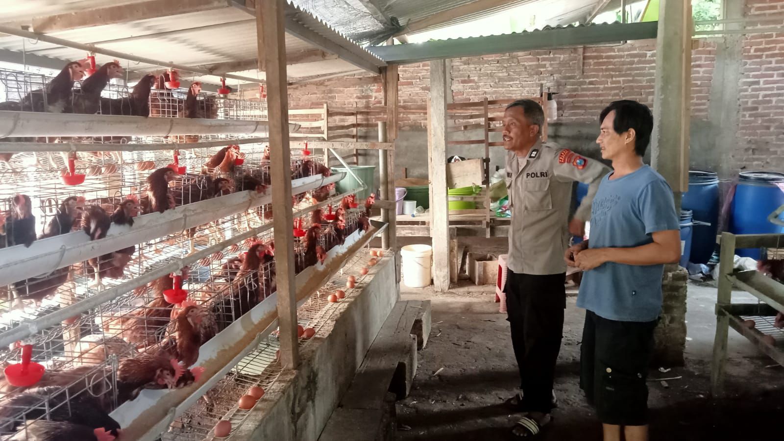 Polsek Loceret Dukung Warga Ngepeh Kembangkan Ternak Ayam Petelur