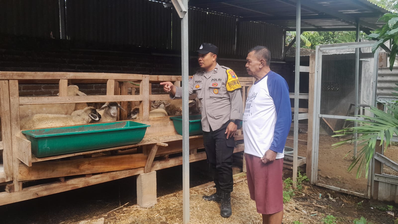 Bhabinkamtibmas Desa Balongpacul Pantau Lahan Peternakan Kambing Warga, Dukung Ketahanan Pangan Nasional