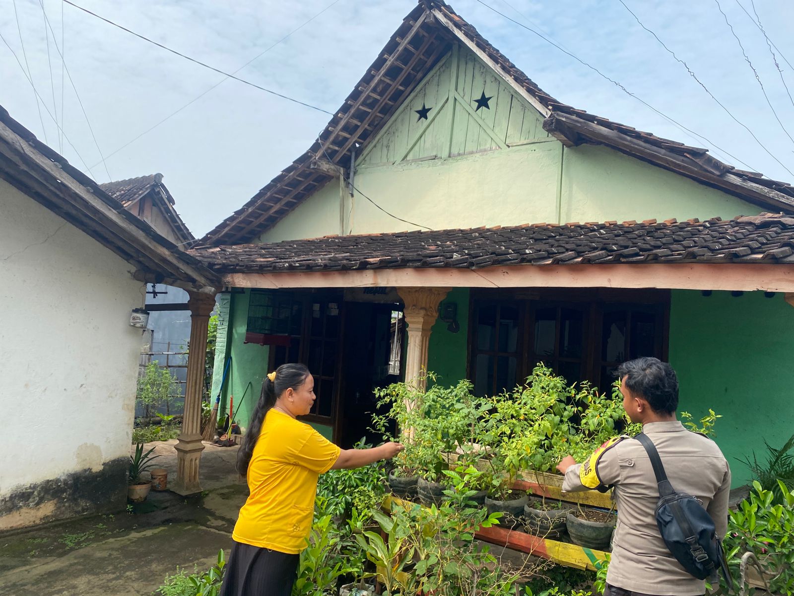 Panen Cabai dari Pekarangan, Warga Ngepeh Tuai Manfaat Ekonomi