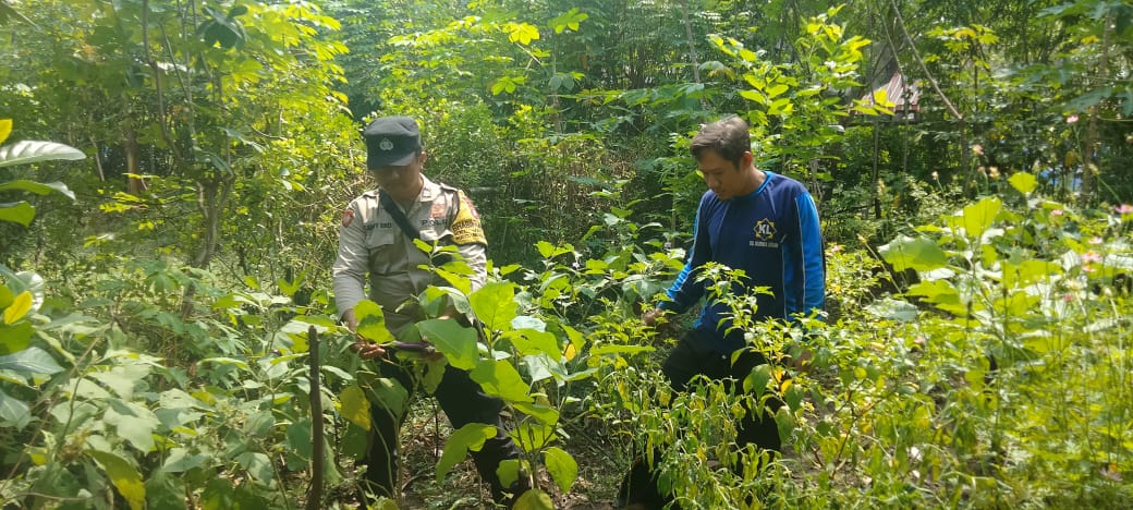 Warga Jatirejo Manfaatkan Lahan Pekarangan, Polres Nganjuk Dukung Ketahanan Pangan Lokal