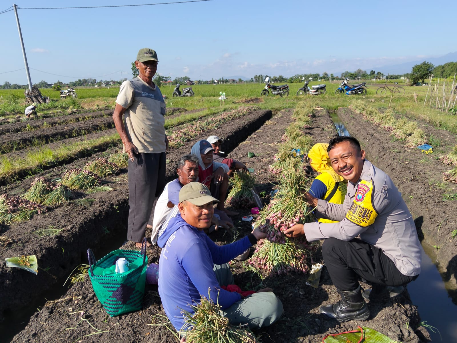 Bhabinkamtibmas Desa Kedungdowo Pantau Giat Panen Pertanian Warga Binaannya