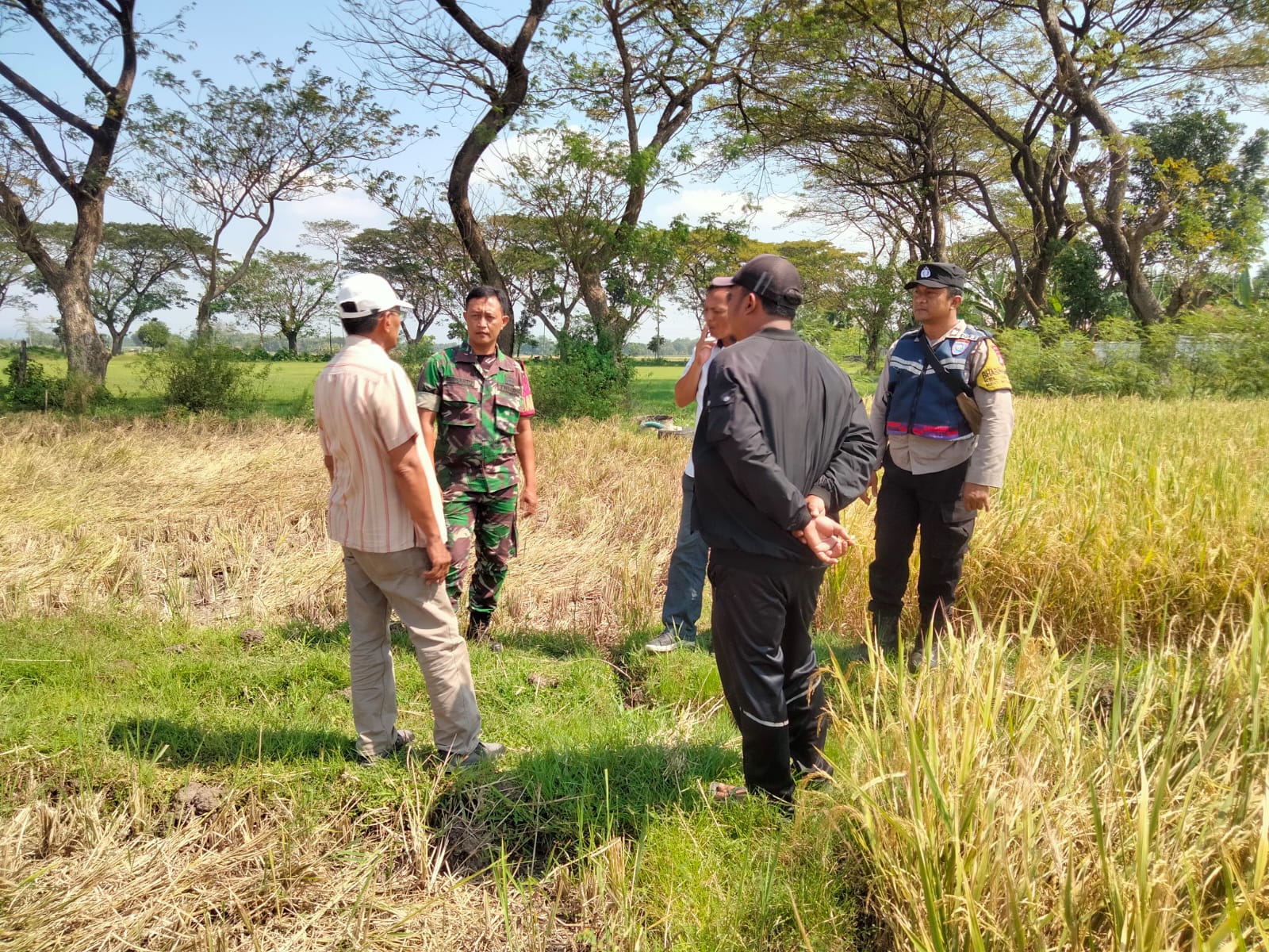 Dukung Program Ketahanan Pangan Nasional, Bhabinkamtibmas Kelurahan Jatirejo Bersama 3 Pilar Tinjau Lahan Pertanian