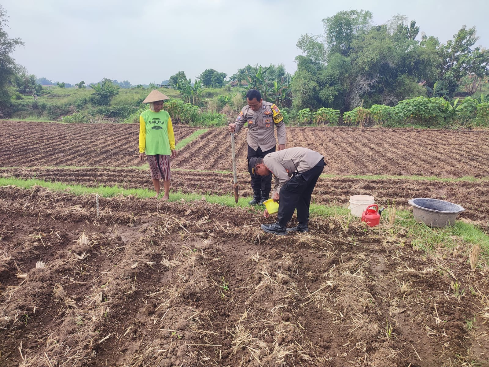 Bhabinkamtibmas Sukomoro Dukung Ketahanan Pangan, Kawal Pemanfaatan Lahan Pekarangan Warga