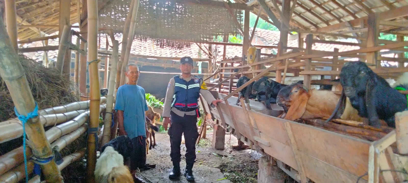 Manfaatkan Lahan Pekarangan, Warga Jatirejo Dibina Bhabinkamtibmas untuk Wujudkan Ketahanan Pangan