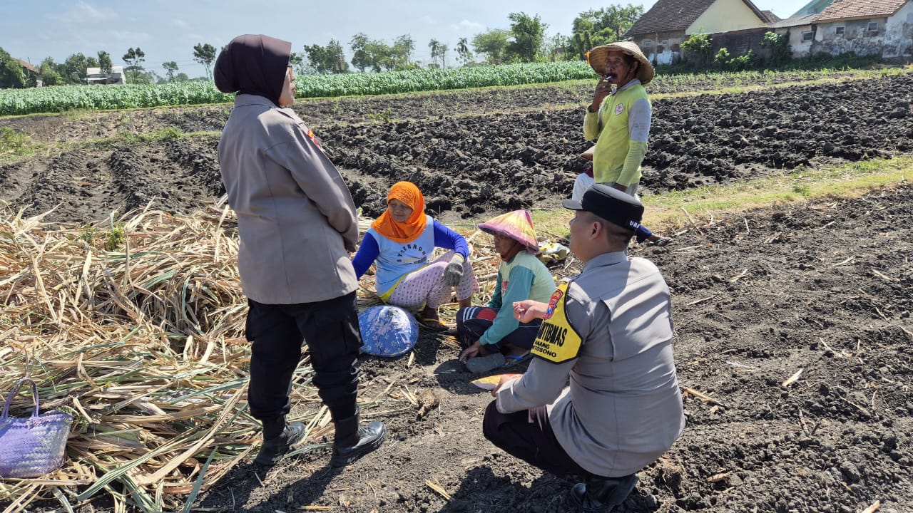 Bhabinkamtibmas Desa Tanjung Serahkan Bibit Jagung Bhayangkara kepada Petani di Desa Binaan