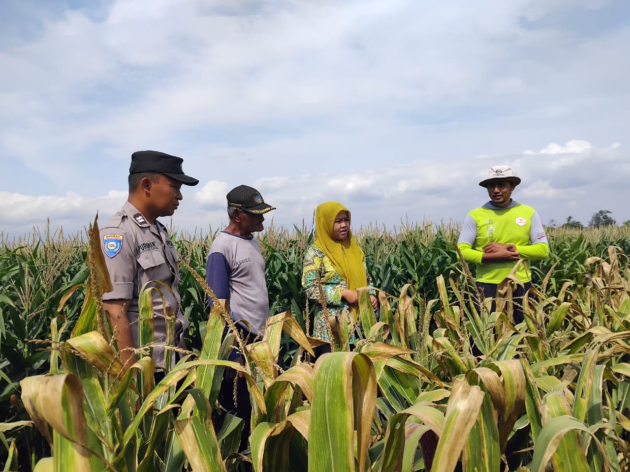 Bhabinkamtibmas Kelurahan Ploso Bersama PPL Kecamatan Nganjuk Pantau Pemanfaatan Lahan Pertanian Jagung