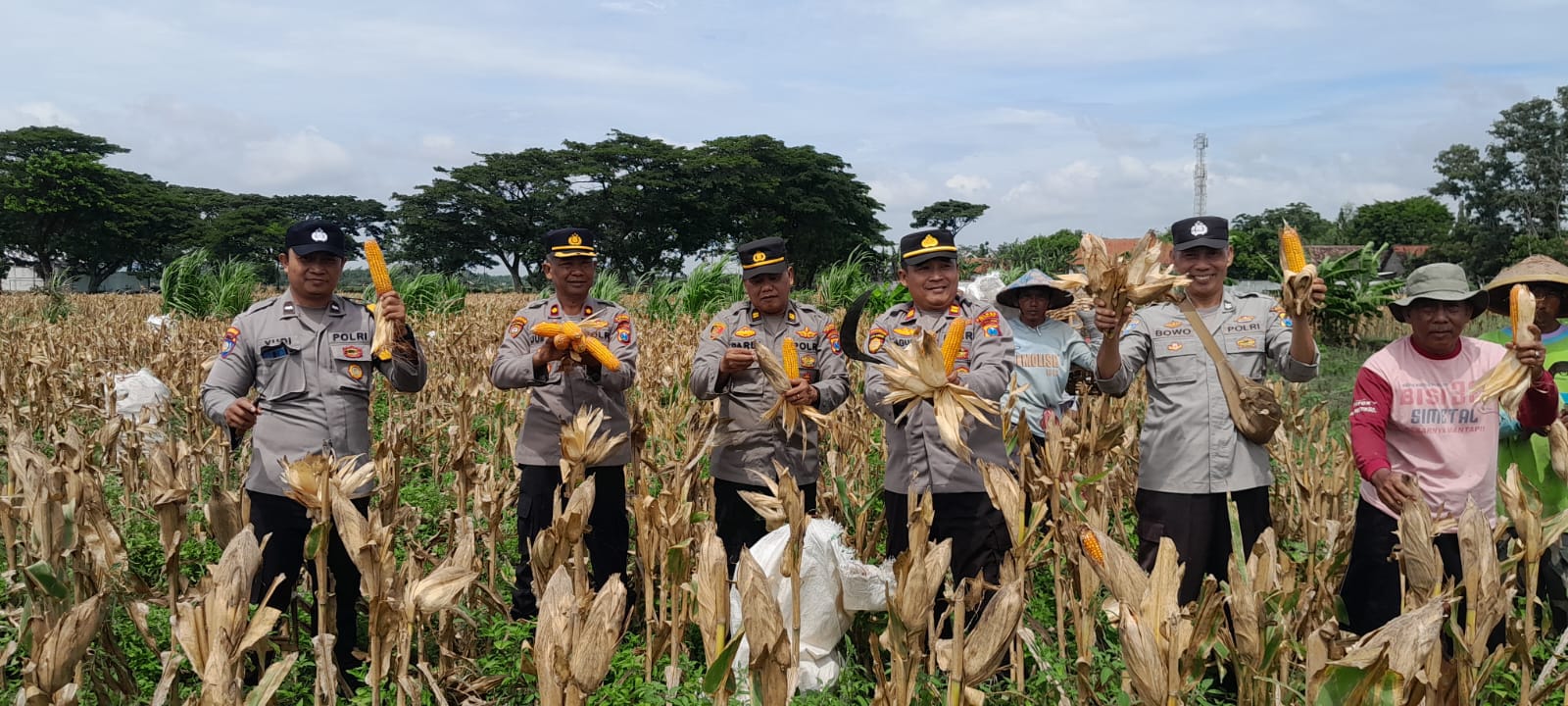 Kapolsek Nganjuk Kota Bersama Anggota Laksanakan Patroli Sekaligus Tinjau Panen Jagung Warga Jatirejo, Dukung Program Ketahanan Pangan Nasional