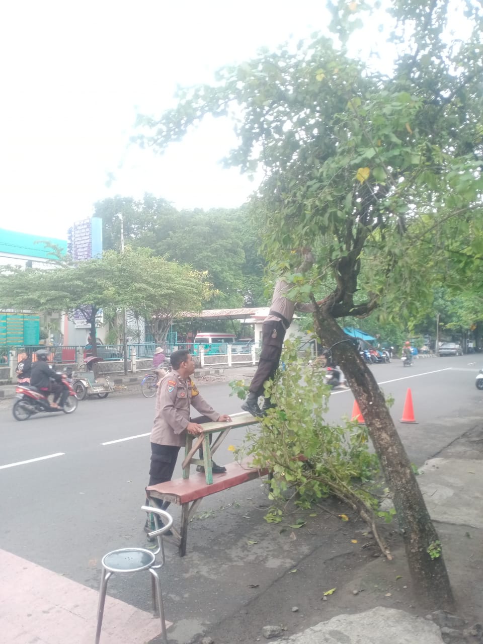 Personel Polsek Nganjuk Kota Bersihkan Ranting Pohon yang Mengganggu Pandangan Pengendara di Depan SMK Negeri 1 Nganjuk