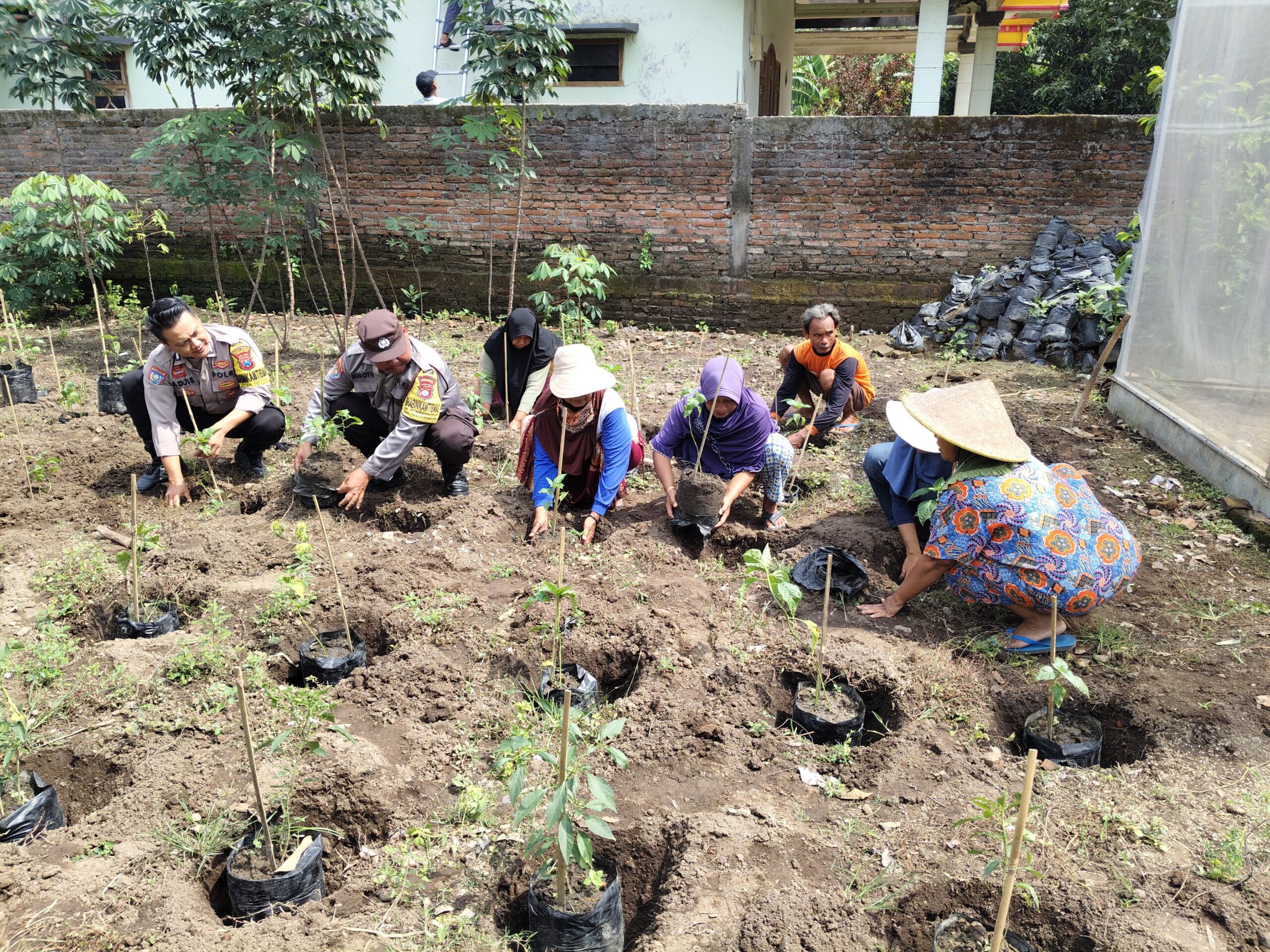 Kanit Binmas Polsek Warujayeng Bersama Warga Tanam Bibit Cabai Dukung Ketahanan Pangan Nasional