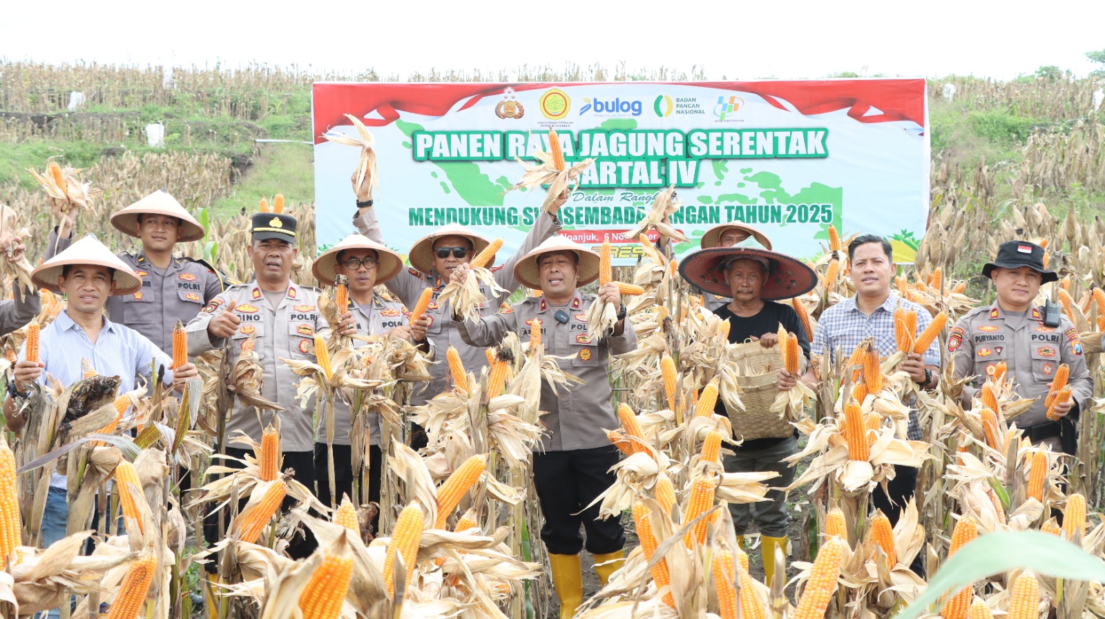 Polres Nganjuk Dukung Swasembada Pangan Lewat Panen Raya Jagung Serentak di Rejoso