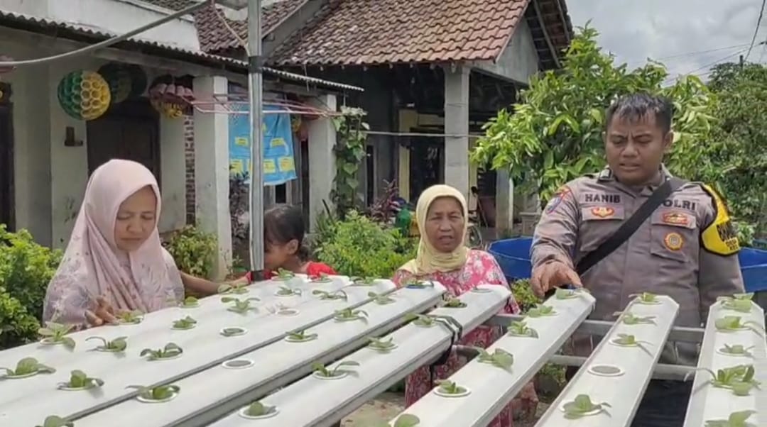 Bhabinkamtibmas Desa Sonobekel Pantau Pemanfaatan Lahan P2B dengan Sistem Hidroponik