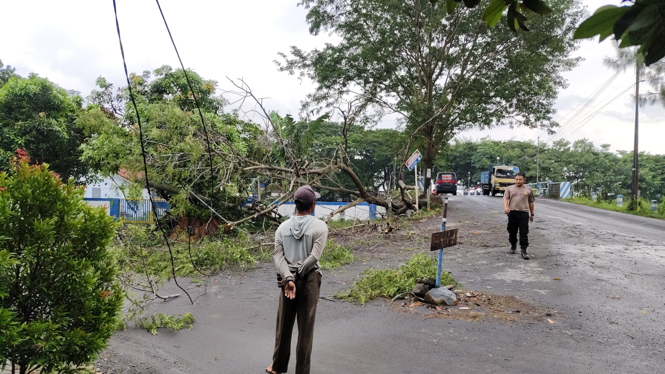 Respon Cepat Polsek Warujayeng Evakuasi Pohon Tumbang di Jalur Badug