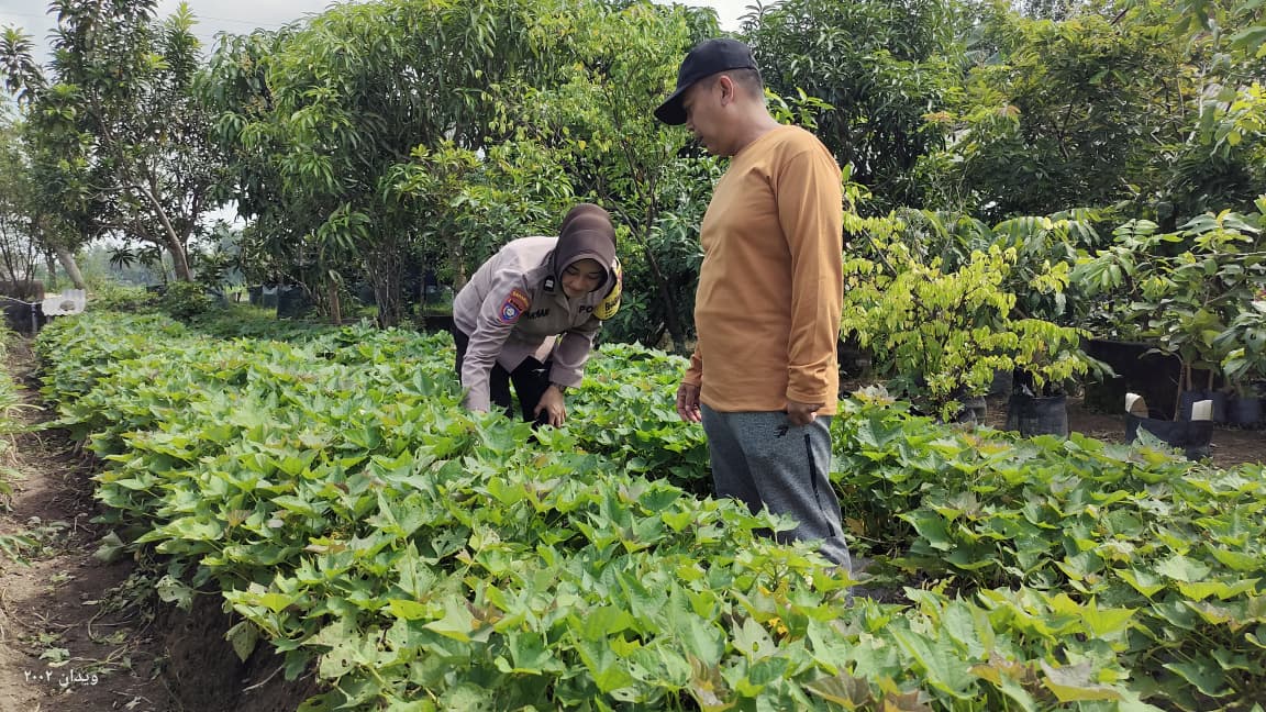 Dukung Asta Cita, Bhabinkamtibmas Polsek Warujayeng Dampingi Program Ketahanan Pangan di Tanjunganom