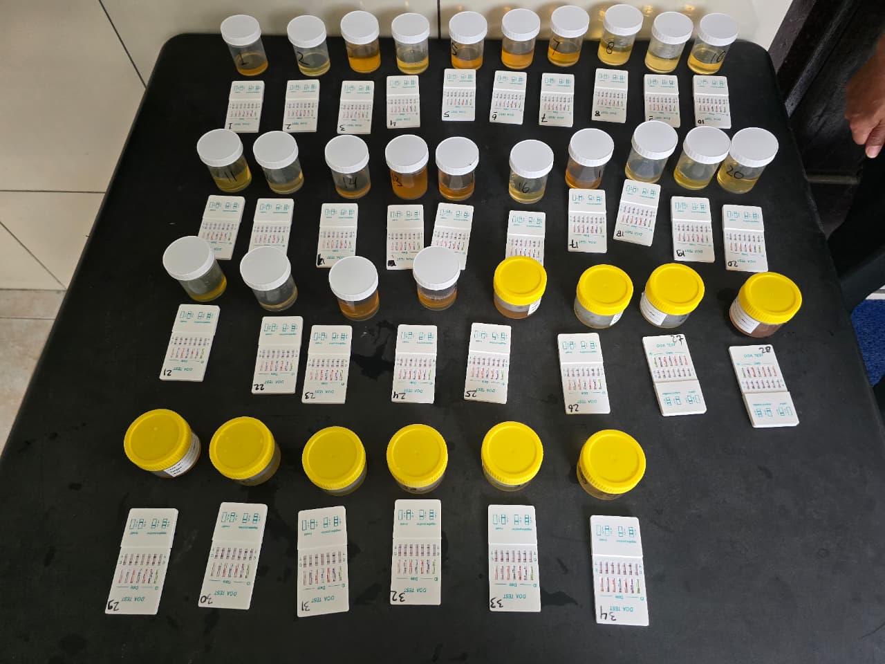 Mendadak! Polres Madiun Gelar Test Urine Bagi PJU dan Kapolsek, Wujudkan Zero Narkoba